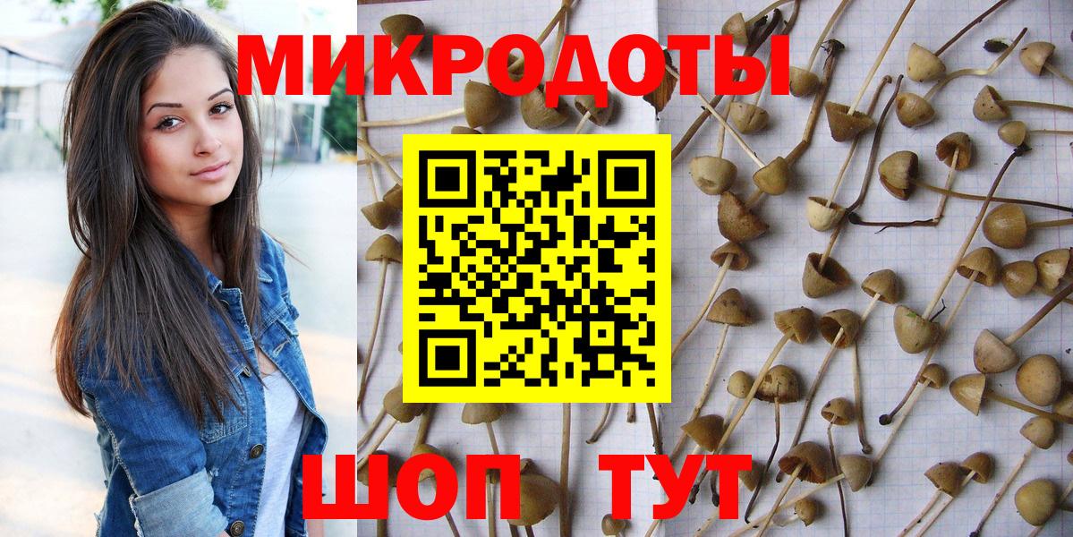 Галлюциногенные грибы прущие грибы Карпинск