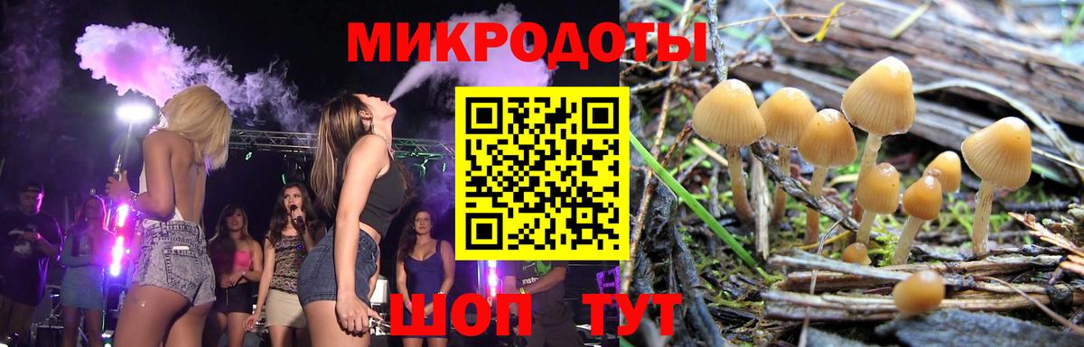 Карпинск  Галлюциногенные грибы MAGIC MUSHROOMS  Вход с VPN 